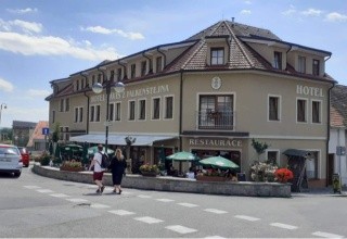 Záviš z Falkenštejna