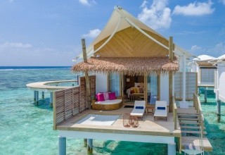Cinnamon Hakuraa Huraa