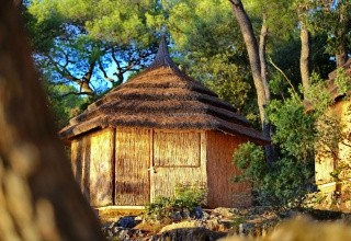 Pine Beach Pakostane