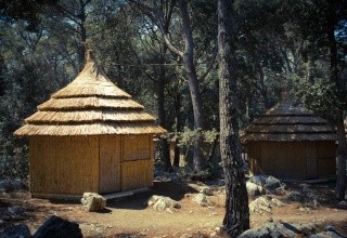 Pine Beach Pakostane