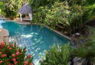 EL JARDIN DEL EDEN
