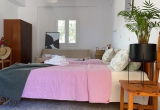 Zaharoula studió