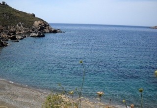 Amphitrite