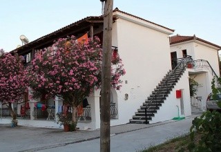 Studia Vasso