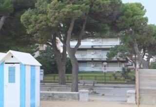 Pioppi