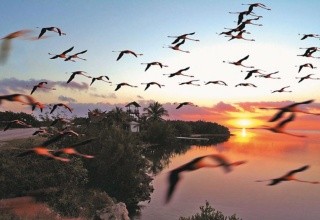 Grand Muthu Cayo Guillermo (Cayo Guillermo)