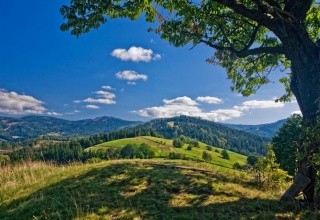 Ogrodzisko (NAT Wisla)
