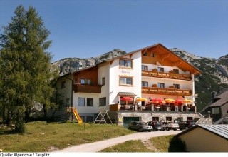 Alpenrose