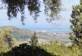 Villa Pergola (Katouna)