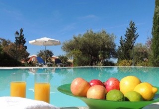 Villa Ilex