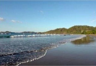 Bosque del Mar