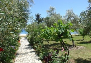 Studia a apartmány Akti
