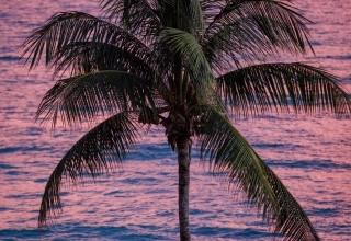 Sandals Royal Barbados