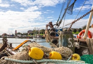 Akzent Dorn (Büsum)