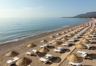 Monk Resort