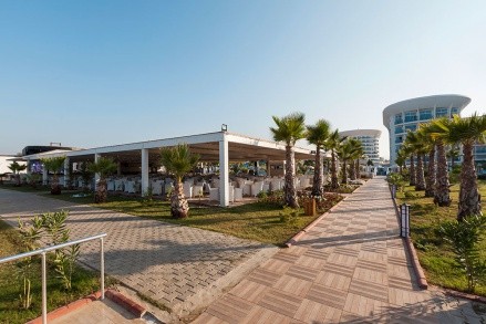 Sultan Of Dreams értékelés