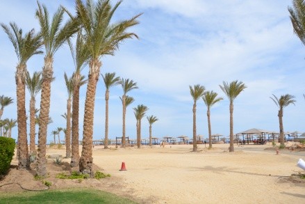 Pickalbatros Sands (Ex. Red Sea Siva Sands) értékelés