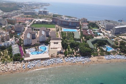 Lonicera World recenze