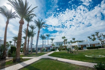 Shams Safaga Resort recenze