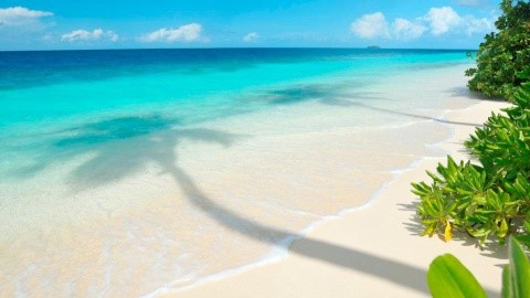 Robinson Maldives (Gaafu Alifu Atoll) – fotografie 2