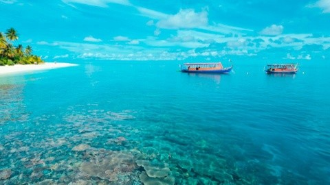 Robinson Maldives (Gaafu Alifu Atoll) – fotografie 5