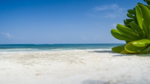 El Dorado Seaside Suites – fotografie 3