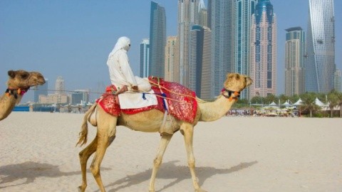 Holiday Inn Express Jumeirah – fotografie 5