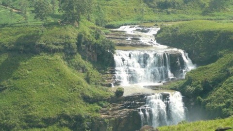 Devon (kandy) – fotografie 3