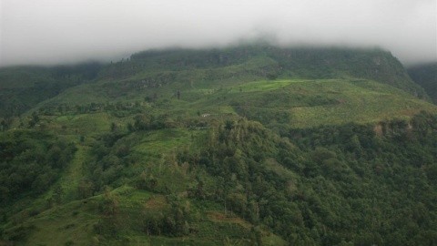 Devon (kandy) – fotografie 5