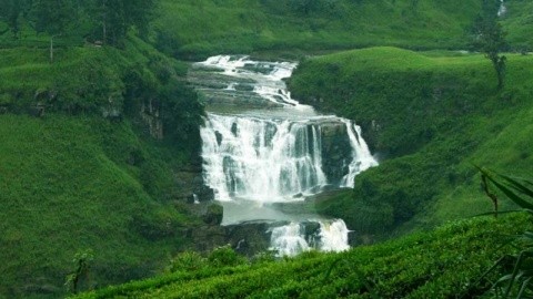 Heritance Tea Factory (Nuwara Eliya) – fotografie 3