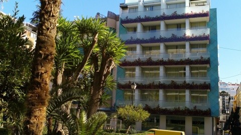Oasis Plaza