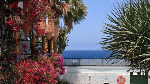 Apartamentos Don Palomon – fotografie 3