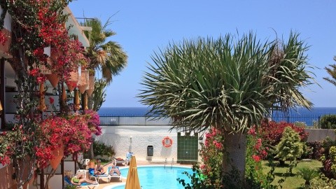 Apartamentos Don Palomon – fotografie 4