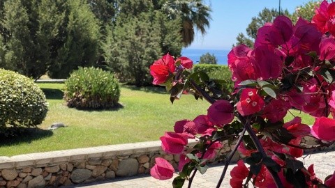 Baia Delle Ginestre (Teulada) – fotografie 4