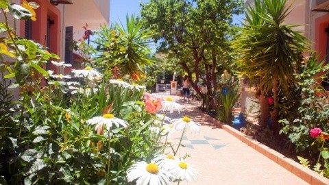 Apartmány Palmira – fotografie 4