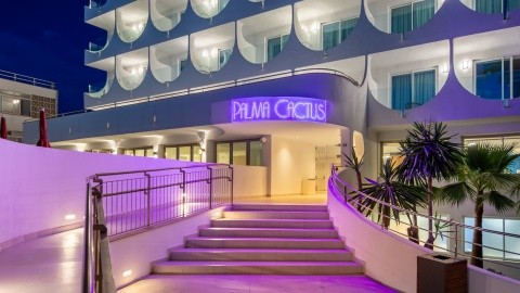 Vibra Palma Cactus (ex Playasol Palma Cactus) – fotografie 3