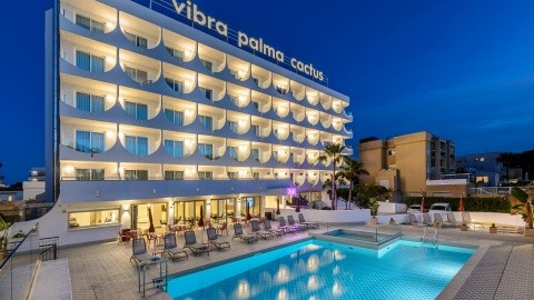Vibra Palma Cactus (ex Playasol Palma Cactus) – fotografie 4