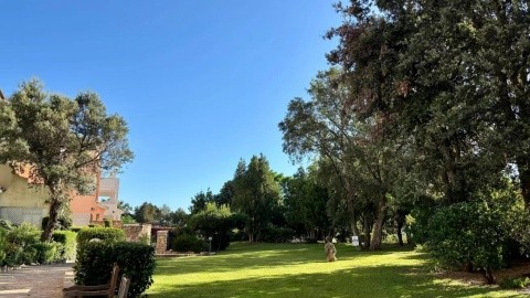 Porto Rotondo Village 2 – fotografie 2