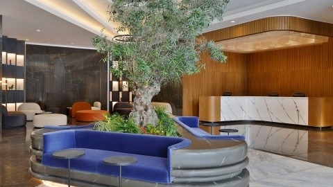 Local (Al Barsha) – fotografie 4