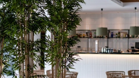 THB Bamboo Alcudia (ex. Magic El Lago) – fotografie 3