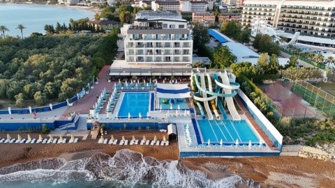 Lonicera West (ex.Gold Island Mondo) – fotografie 2