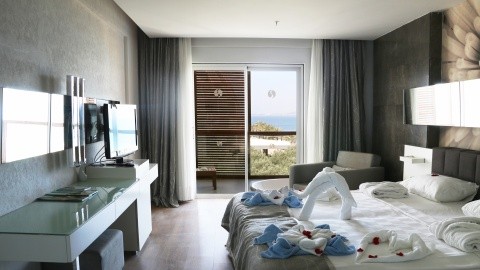 Lonicera West (ex.Gold Island Mondo) – fotografie 4