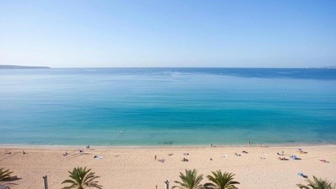 Fergus Style Palma Beach – fotografie 3