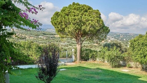 Apollon (Platanias) – fotografie 5