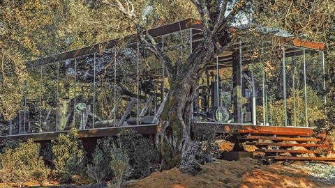 Cook's Club Corfu (ex. Ionian Park) – fotografie 4