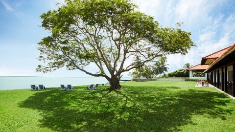 Jetwing Lagoon – fotografie 4