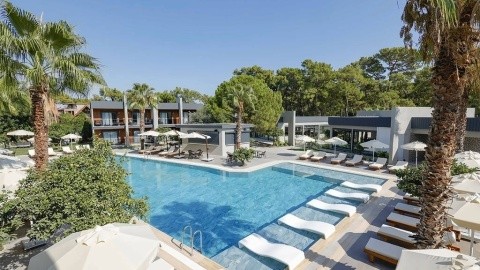 Forest Inn – fotografie 5