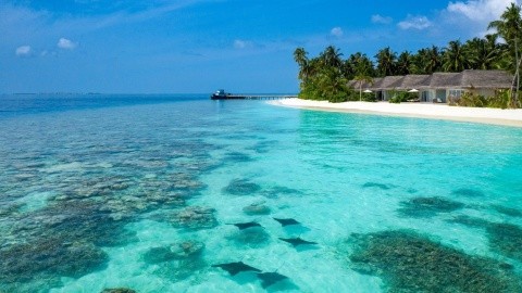 Baglioni Resort Maldives (South Nilandhe Atoll) – fotografie 5