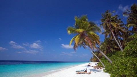 Filitheyo Island Resort – fotografie 5