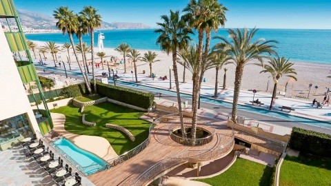 Kaktus Albir – fotografie 2